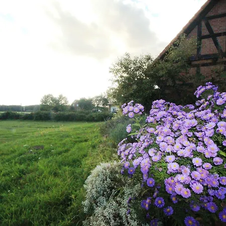 Hotel Flair Seehotel Zielow Ludorf