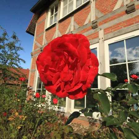 فندق Flair Seehotel Zielow Ludorf